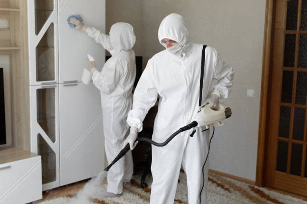 Best Black Mold Removal  in Webster, FL