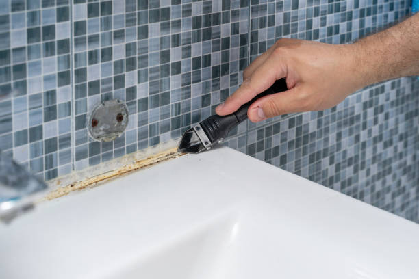 Best Fast Mold Removal  in Webster, FL